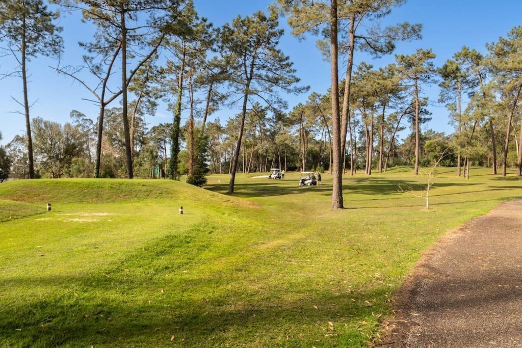 Quinta Da Barca Guest House 에스포센데 외부 사진