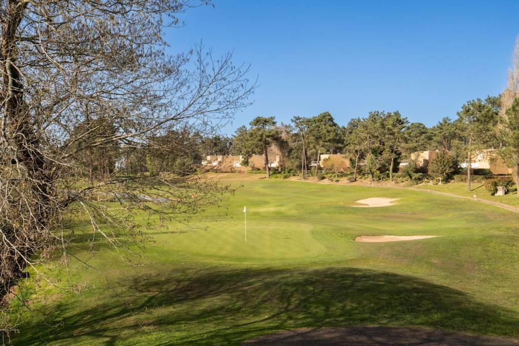 Quinta Da Barca Guest House 에스포센데 외부 사진