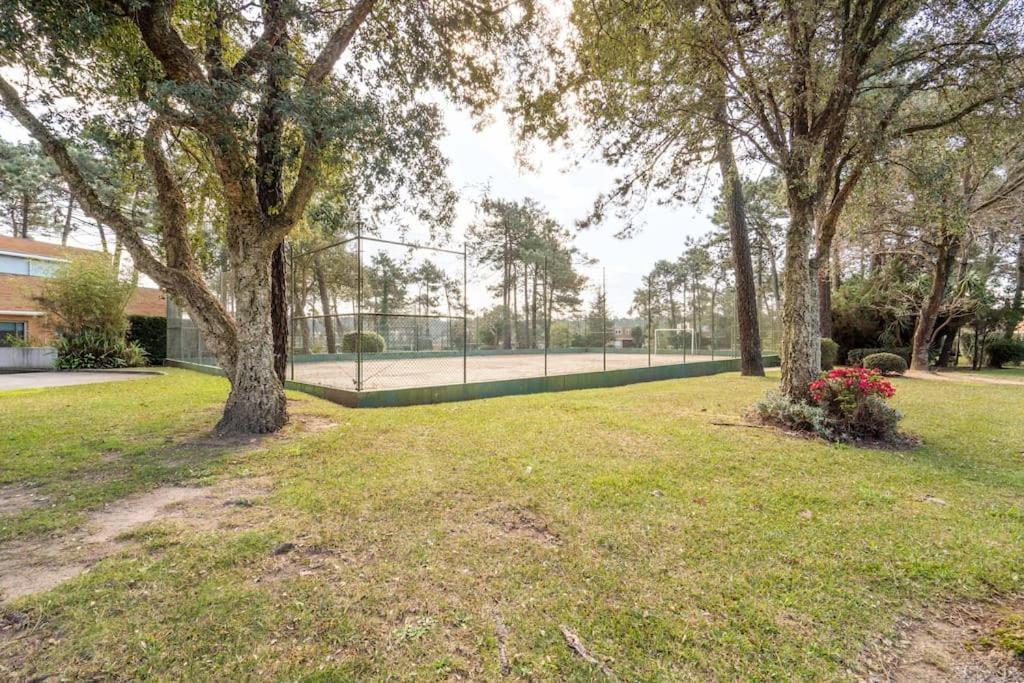 Quinta Da Barca Guest House 에스포센데 외부 사진